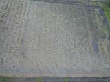 image of grave number 956680